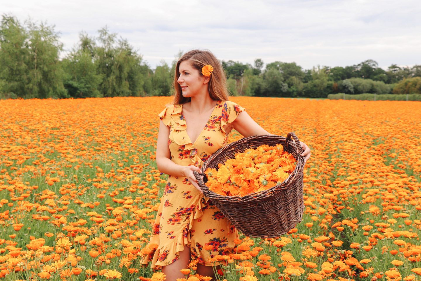 Ein Tag voller Schönheit und Vielfalt – Ein Besuch im Weleda Heilpflanzengarten